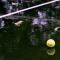 Wet tennis ball