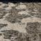 Bubbling sewage