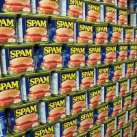 Wall of Spam Wall of Spam