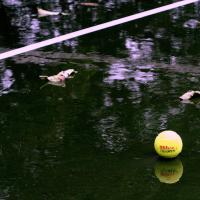 Wet tennis ball