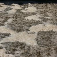 Bubbling sewage