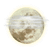 Partly Cloudy